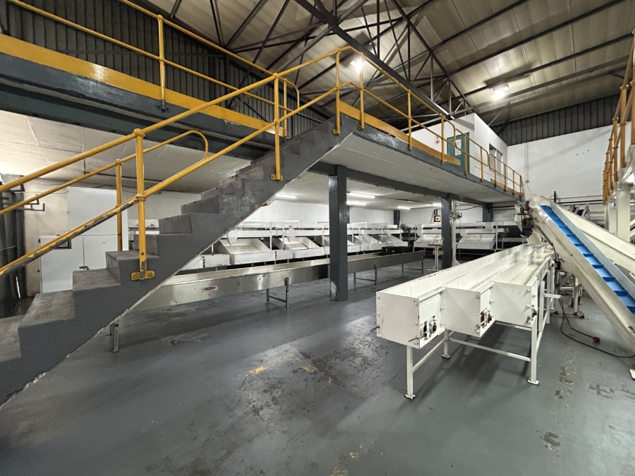 To Let commercial Property for Rent in Epping Industrial Western Cape